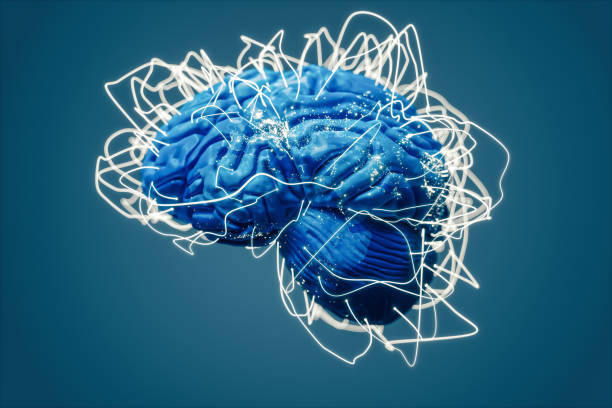 istockphoto 1023164544 612x612 1