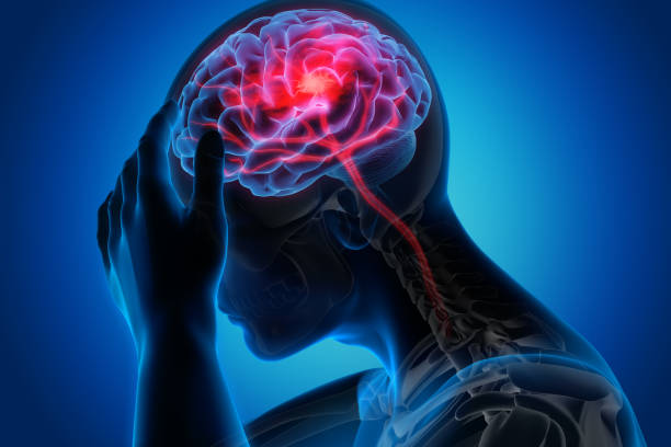 istockphoto 1168179082 612x612 1