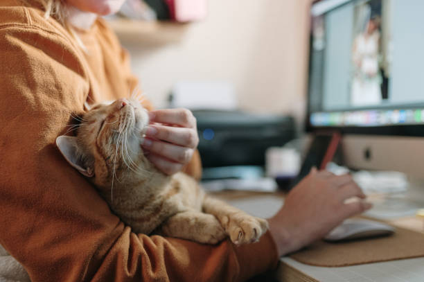 istockphoto 1345473066 612x612 1