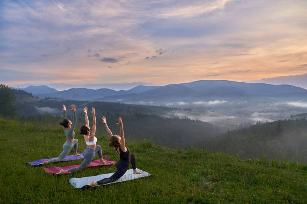 istockphoto 2162090752 612x612 2