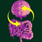 istockphoto 2194950153 612x612 1