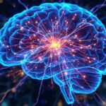 Autism brain 20250912 205432 0000