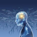 istockphoto 2194759386 612x612 1