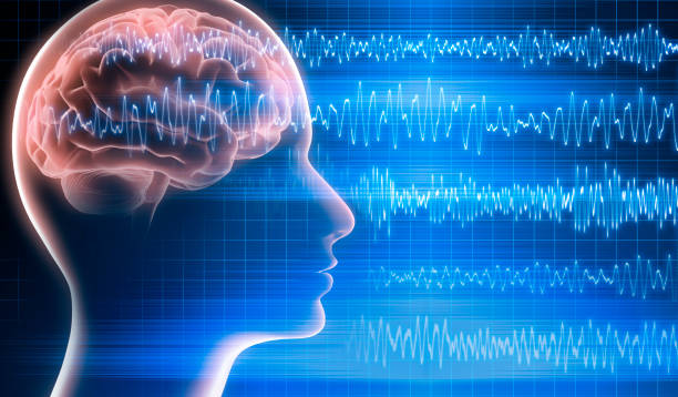 istockphoto 2204313031 612x612 1