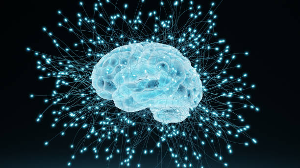 istockphoto 1352913928 612x612 1