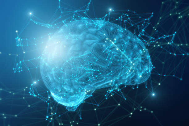 istockphoto 1431042364 612x612 1