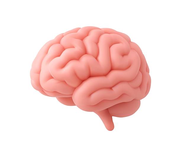 istockphoto 2218590107 612x612 1
