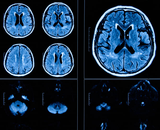 istockphoto 1196916327 612x612 1