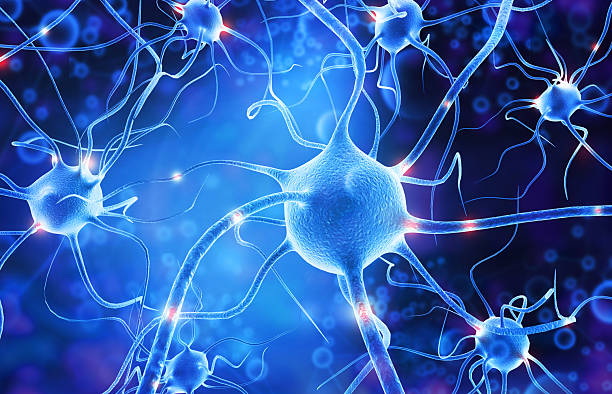 istockphoto 2221625082 612x612 1