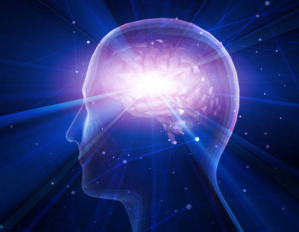 istockphoto 913645574 612x612 1