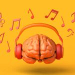 istockphoto 1343466407 612x612 1