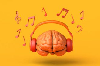 istockphoto 1343466407 612x612 1