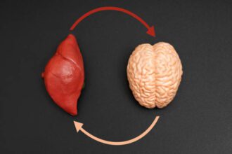 istockphoto 2160064607 612x612 1