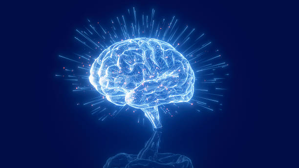 istockphoto 2234648134 612x612 1