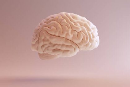 istockphoto 999307586 612x612 1