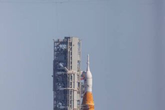 istockphoto 1420589601 612x612 1