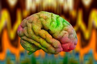 istockphoto 480420098 612x612 1