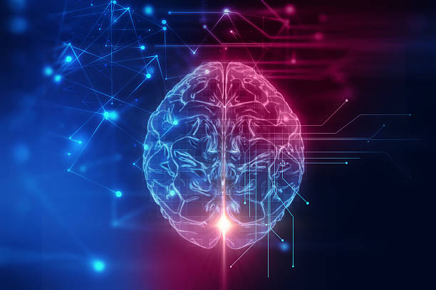istockphoto 611992272 612x612 1