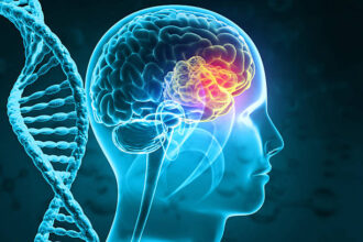 istockphoto 2264710808 612x612 1