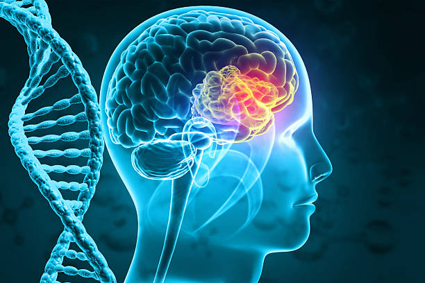istockphoto 2264710808 612x612 1