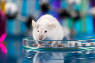 istockphoto 490777337 612x612 1